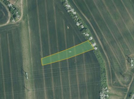 Prodej pozemku, zemědělská půda, 10 084 m²