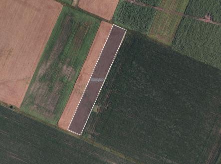 Prodej pozemku, zemědělská půda, 3 161 m²