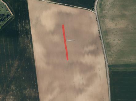 Prodej pozemku, zemědělská půda, 7 186 m²