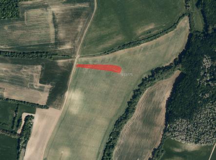 Prodej pozemku, zemědělská půda, 7 186 m²