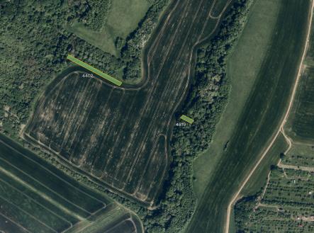 Prodej pozemku, trvalý travní porost, 5 984 m²