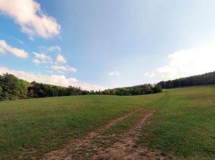 Prodej pozemku, trvalý travní porost, 2 647 m²