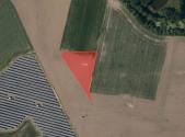 Prodej pozemku, zemědělská půda, 6 981 m²