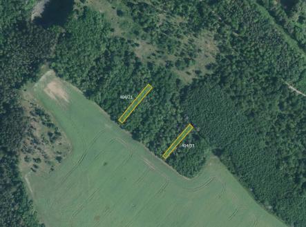 Prodej pozemku, trvalý travní porost, 9 029 m²