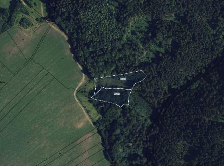 Prodej pozemku, trvalý travní porost, 16 163 m²