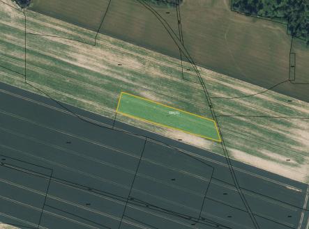 Prodej pozemku, zemědělská půda, 5 954 m²