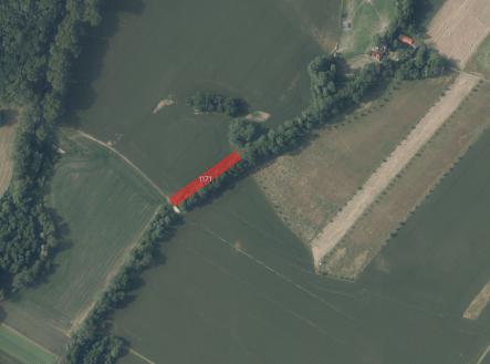 Prodej pozemku, zemědělská půda, 10 005 m²