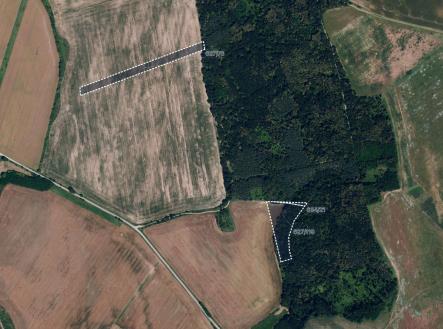 Prodej pozemku, zemědělská půda, 6 560 m² obrázek