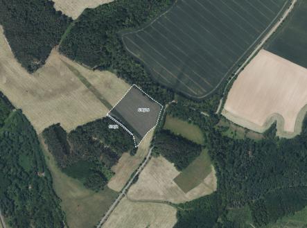 Prodej pozemku, trvalý travní porost, 19 541 m²