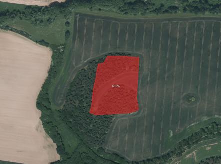 Prodej pozemku, les, 10 064 m²