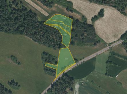 Prodej pozemku, les, 10 763 m²