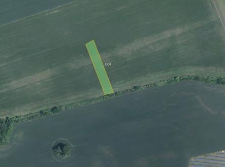 Prodej pozemku, zemědělská půda, 3 981 m²