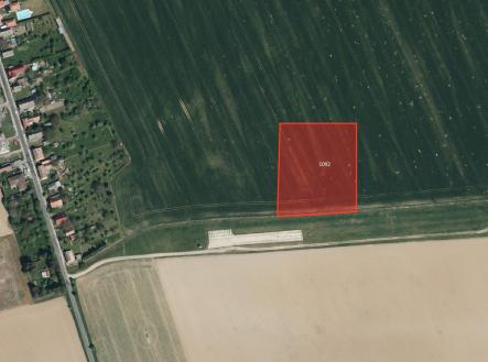 Prodej pozemku, zemědělská půda, 10 659 m²