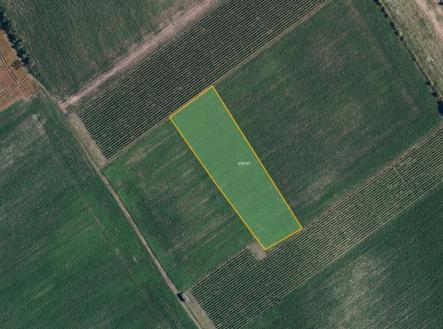 Prodej pozemku, zemědělská půda, 6 317 m²