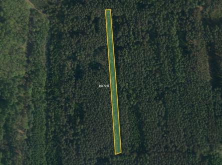 Prodej pozemku, trvalý travní porost, 19 893 m²