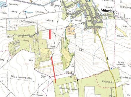 Prodej pozemku, zemědělská půda, 7 763 m²