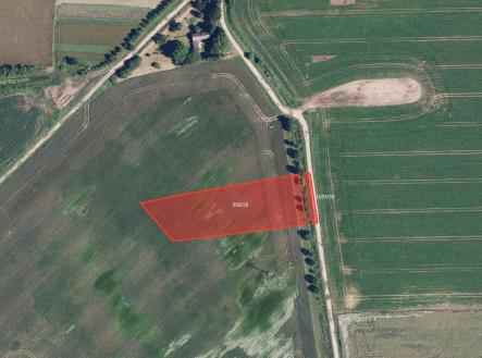 Prodej pozemku, zemědělská půda, 31 003 m²