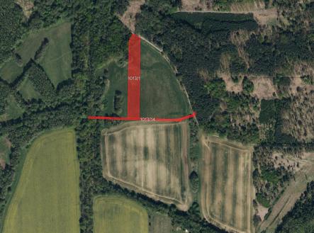 Prodej pozemku, trvalý travní porost, 10 075 m²