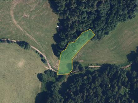 Prodej pozemku, trvalý travní porost, 9 806 m²