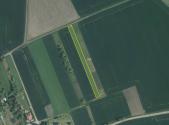 Prodej pozemku, zemědělská půda, 4 398 m²