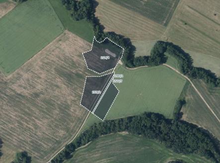 Prodej pozemku, trvalý travní porost, 6 601 m²