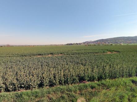 Prodej pozemku pro bydlení, 1 521 m²