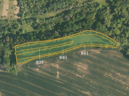 Prodej pozemku, zemědělská půda, 38 116 m²