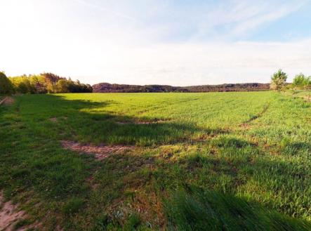 Prodej pozemku, zemědělská půda, 28 865 m²