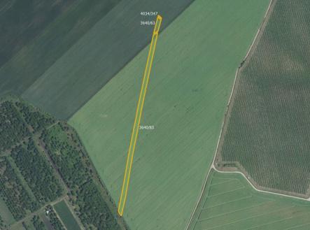 Prodej pozemku, zemědělská půda, 3 169 m²