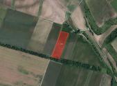 Prodej pozemku, zemědělská půda, 11 008 m²