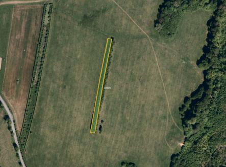 Prodej pozemku, trvalý travní porost, 13 256 m²