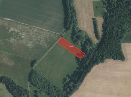 Prodej pozemku, trvalý travní porost, 28 890 m²