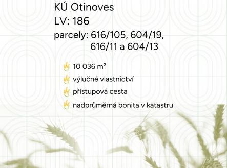 Prodej pozemku, zemědělská půda, 10 036 m²