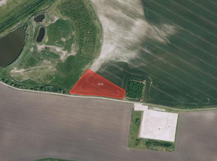 Prodej pozemku, zemědělská půda, 6 298 m²