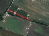 Prodej pozemku, zemědělská půda, 7 872 m²
