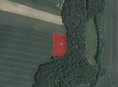 Prodej pozemku, zemědělská půda, 3 923 m²