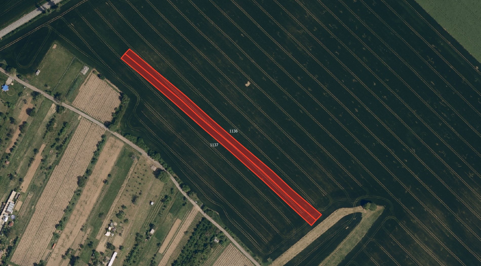 fotografie