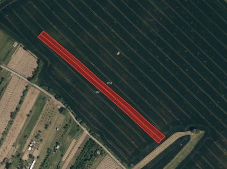 Prodej pozemku, zemědělská půda, 2 636 m²