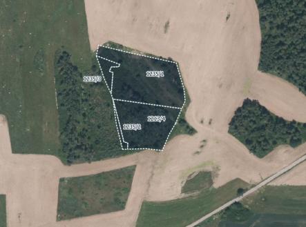 Prodej pozemku, les, 16 139 m²