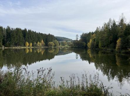 Prodej pozemku, trvalý travní porost, 3 653 m²
