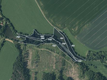 Prodej pozemku, trvalý travní porost, 24 034 m²