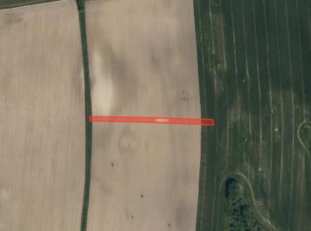 Prodej pozemku, zemědělská půda, 12 700 m²