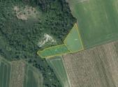 Prodej pozemku, zemědělská půda, 28 919 m²