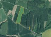 Prodej pozemku, zemědělská půda, 28 837 m²
