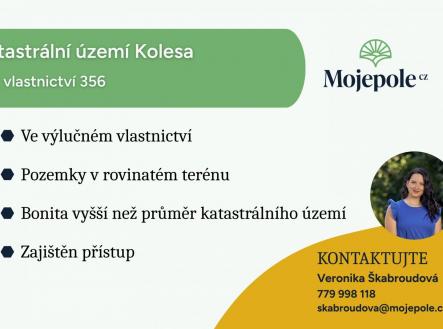 Prodej pozemku, trvalý travní porost, 12 940 m²