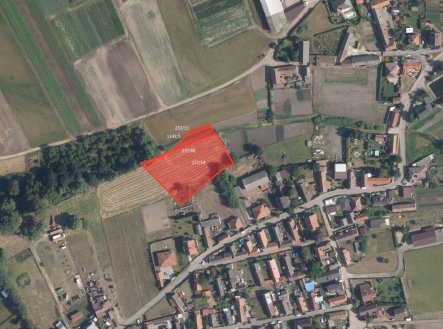 Nemovitost