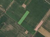 Prodej pozemku, zemědělská půda, 5 390 m²