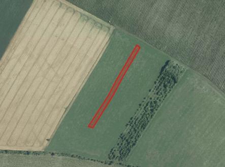 Prodej pozemku, zemědělská půda, 6 586 m²