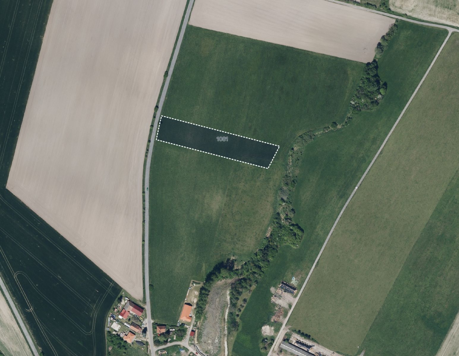 fotografie