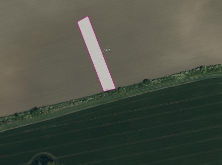 Prodej pozemku, zemědělská půda, 3 981 m²
